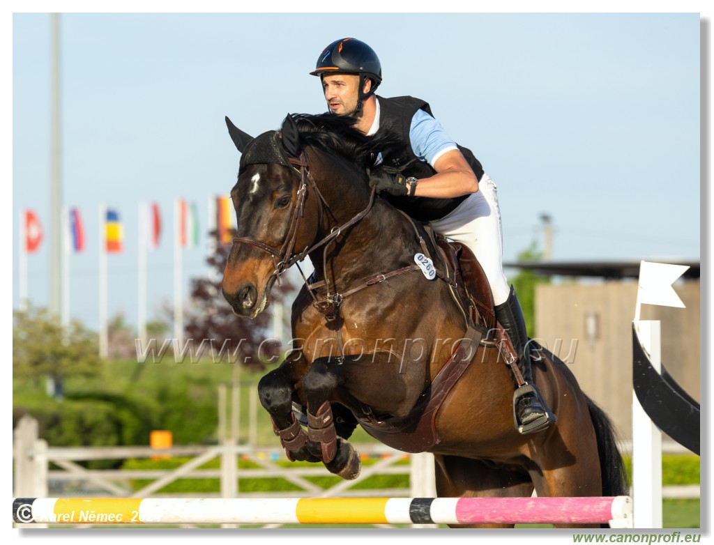 Competition S - 130 cm