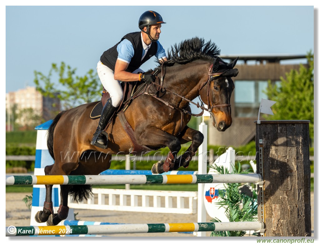 Competition S - 130 cm