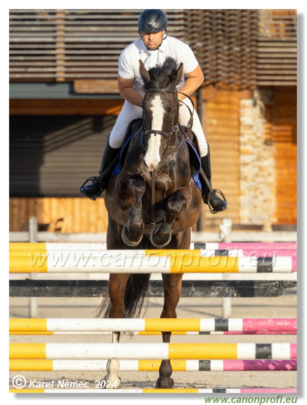 Competition S - 130 cm