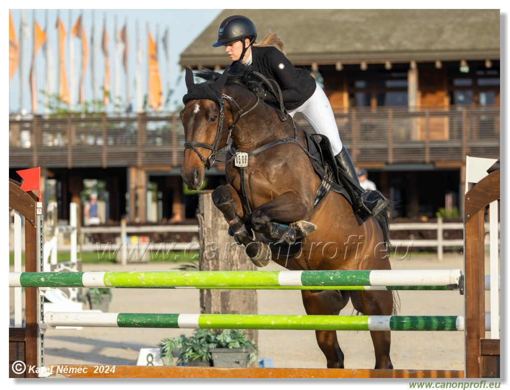 Competition S - 130 cm