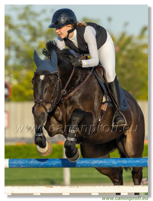 Competition S - 130 cm