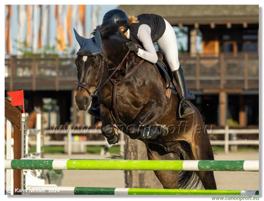 Competition S - 130 cm