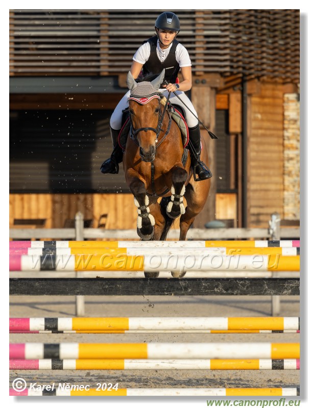 Competition S - 130 cm