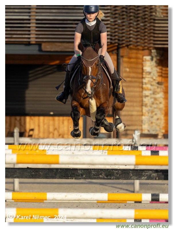 Competition S - 130 cm