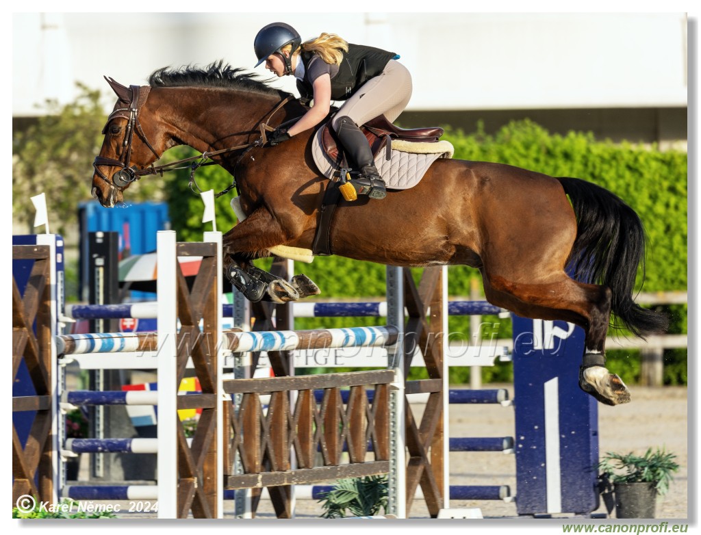 Competition S - 130 cm