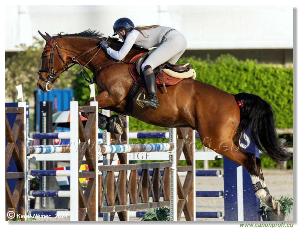 Competition S - 130 cm