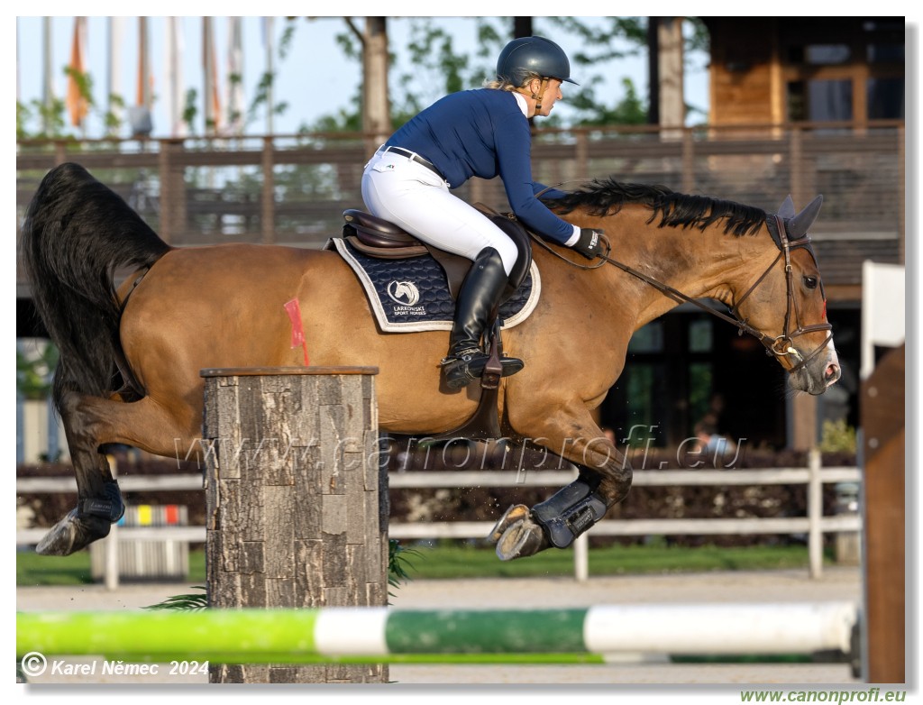 Competition S - 130 cm