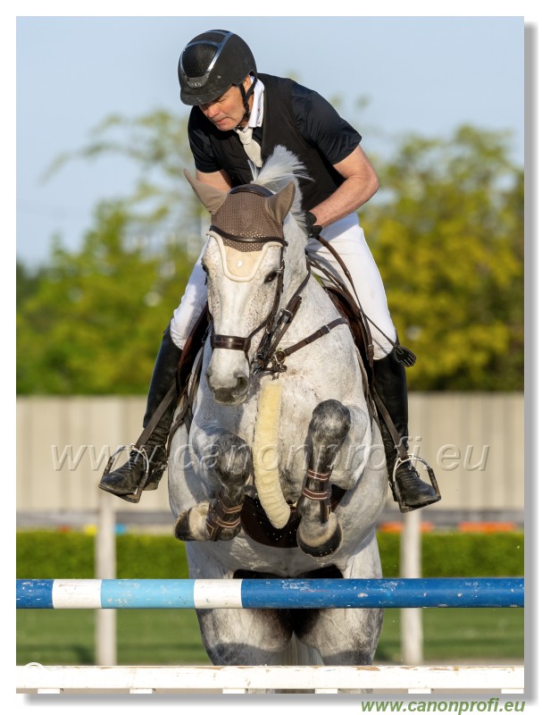 Competition S - 130 cm