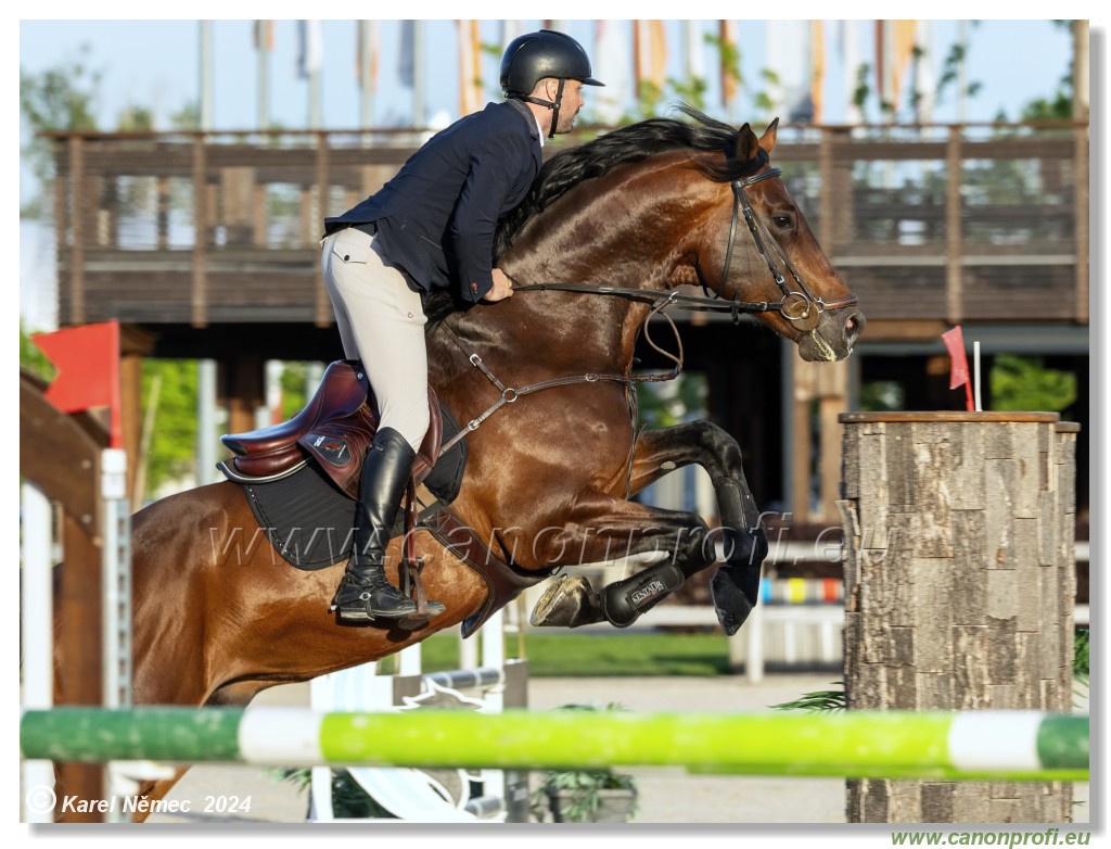 Competition S - 130 cm