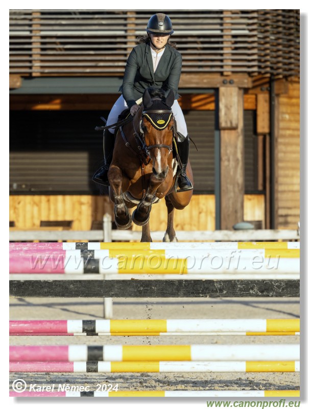 Competition S - 130 cm