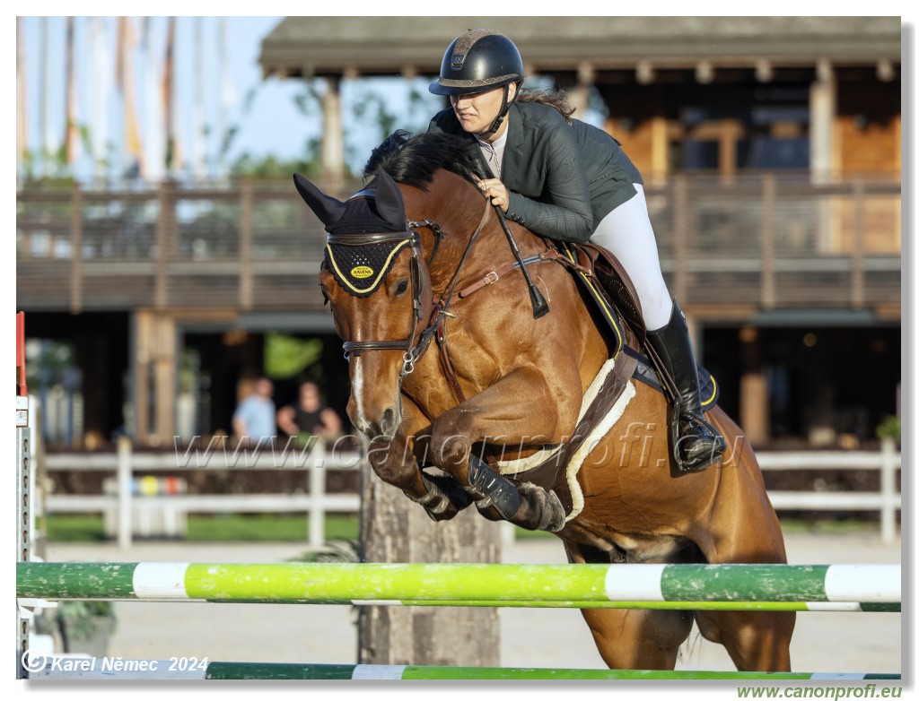 Competition S - 130 cm