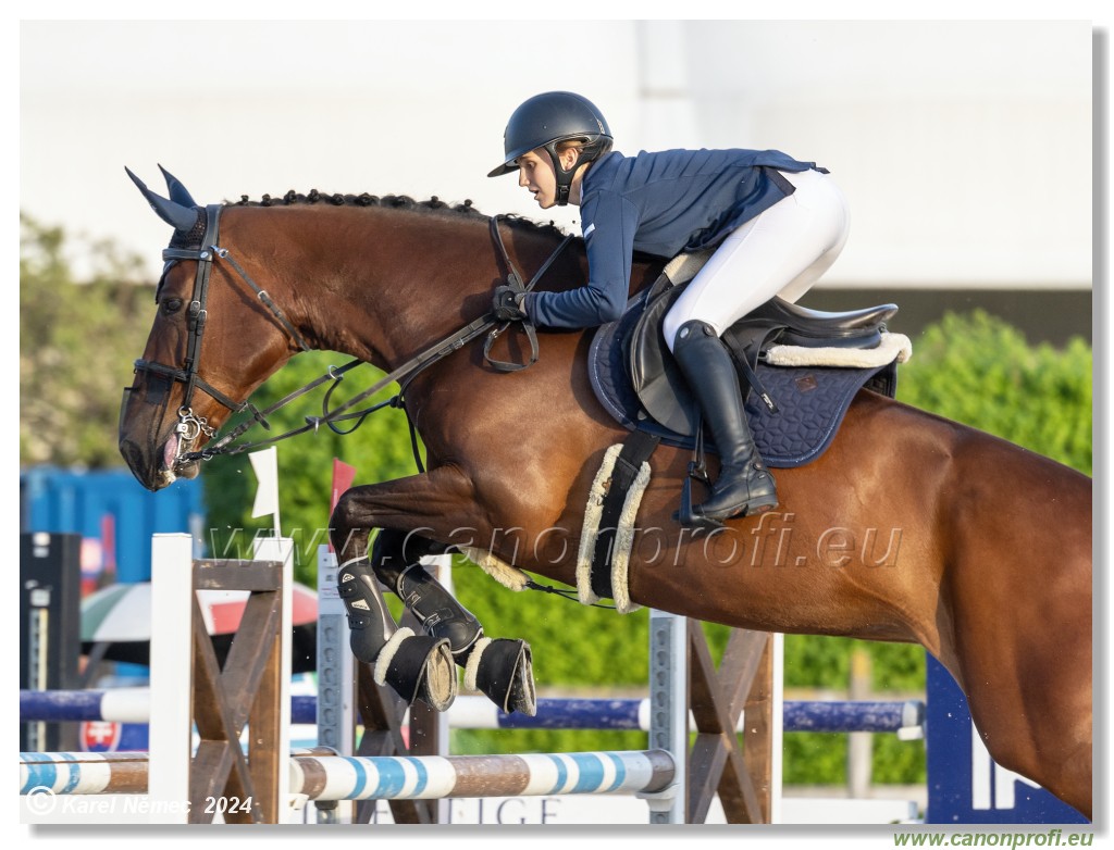 Competition S - 130 cm