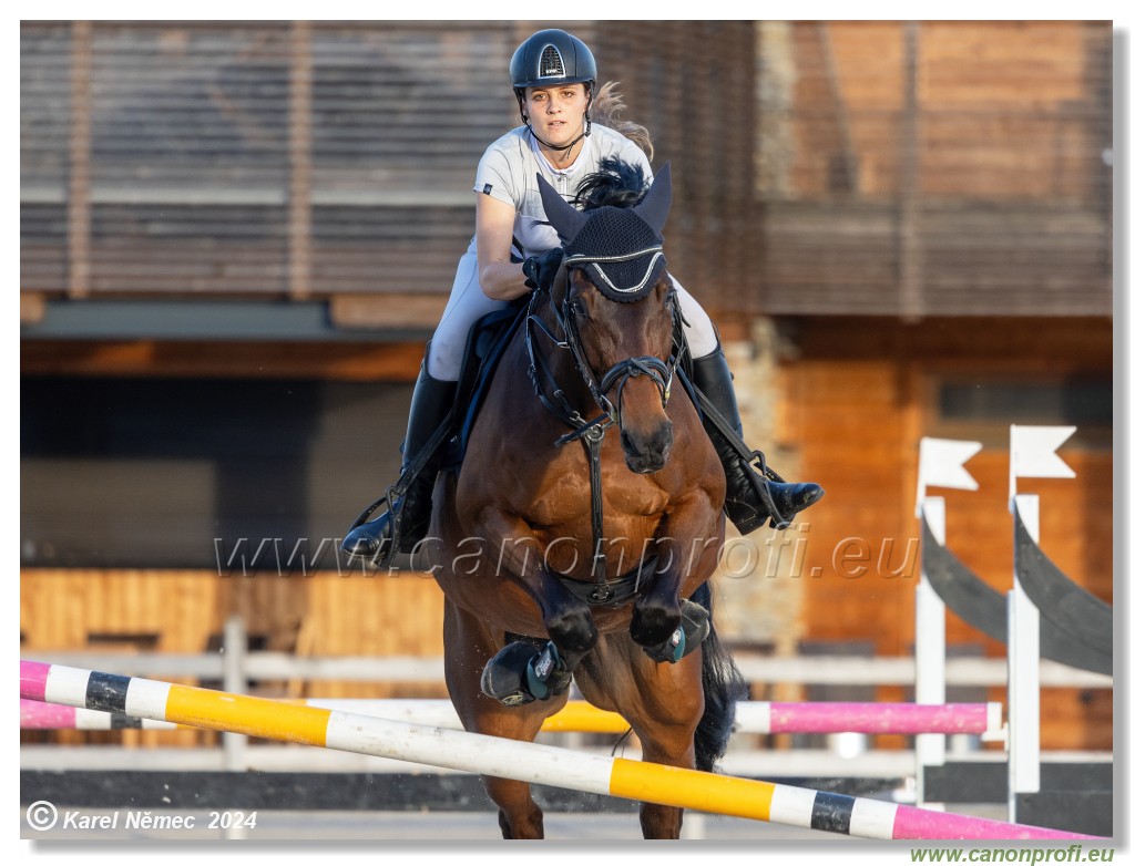 Competition S - 130 cm