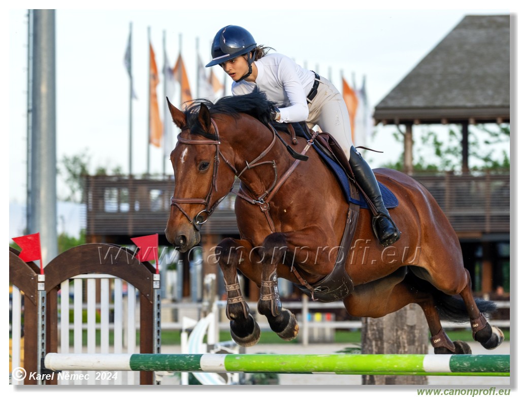 Competition S - 130 cm