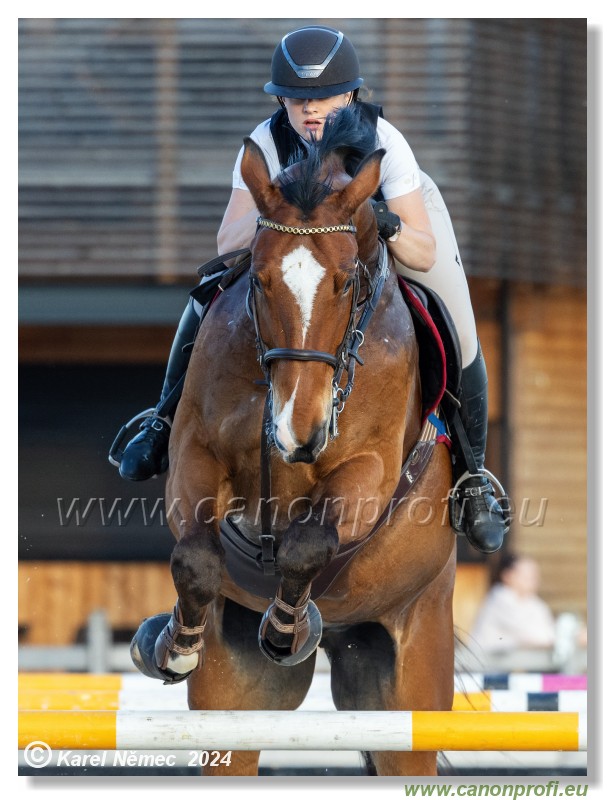 Competition S - 130 cm