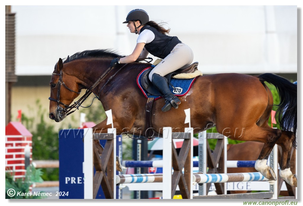 Competition S - 130 cm