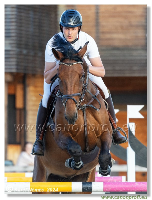 Competition S - 130 cm