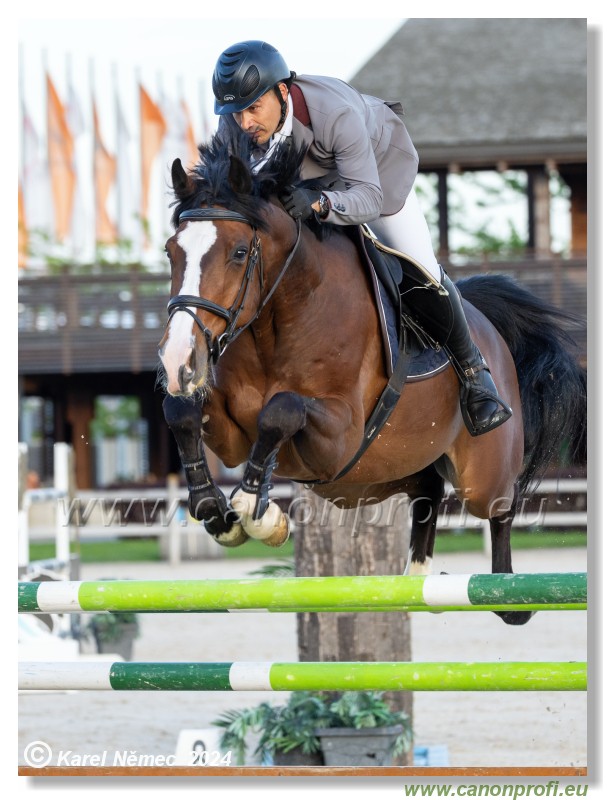 Competition S - 130 cm