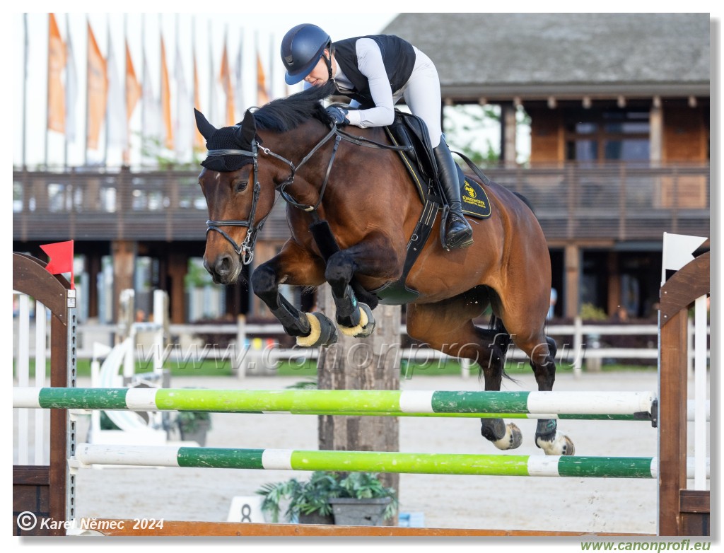 Competition S - 130 cm