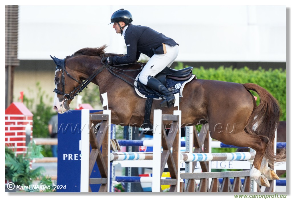 Competition S - 130 cm