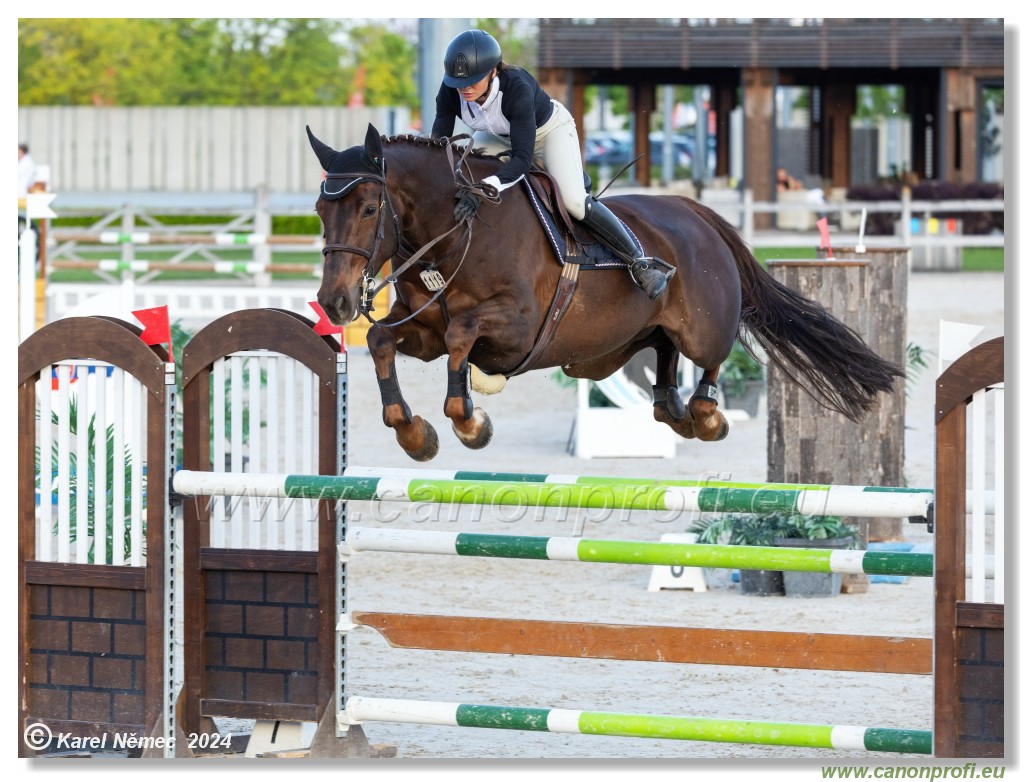 Competition S - 130 cm