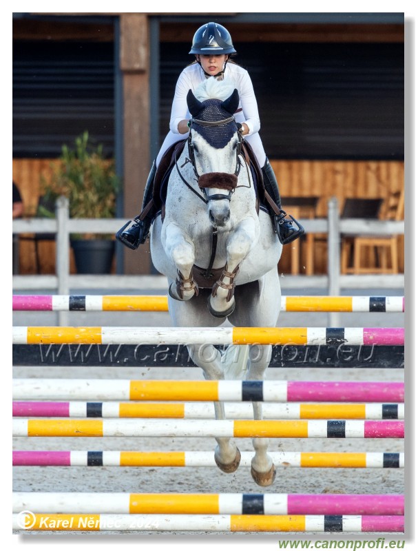 Competition S - 130 cm