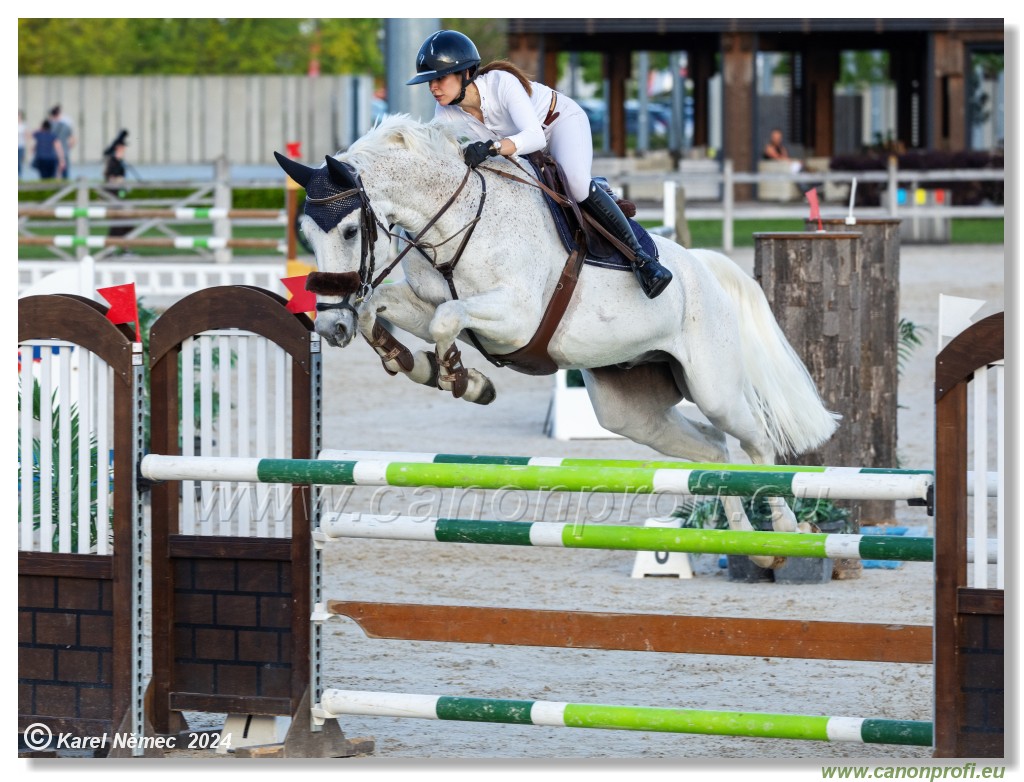 Competition S - 130 cm