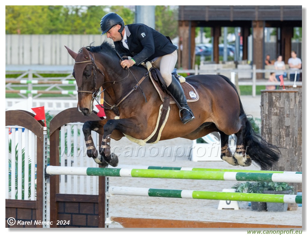 Competition S - 130 cm