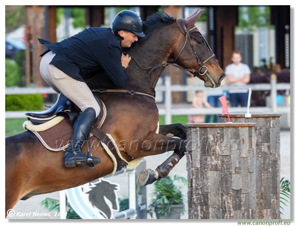 Competition S - 130 cm