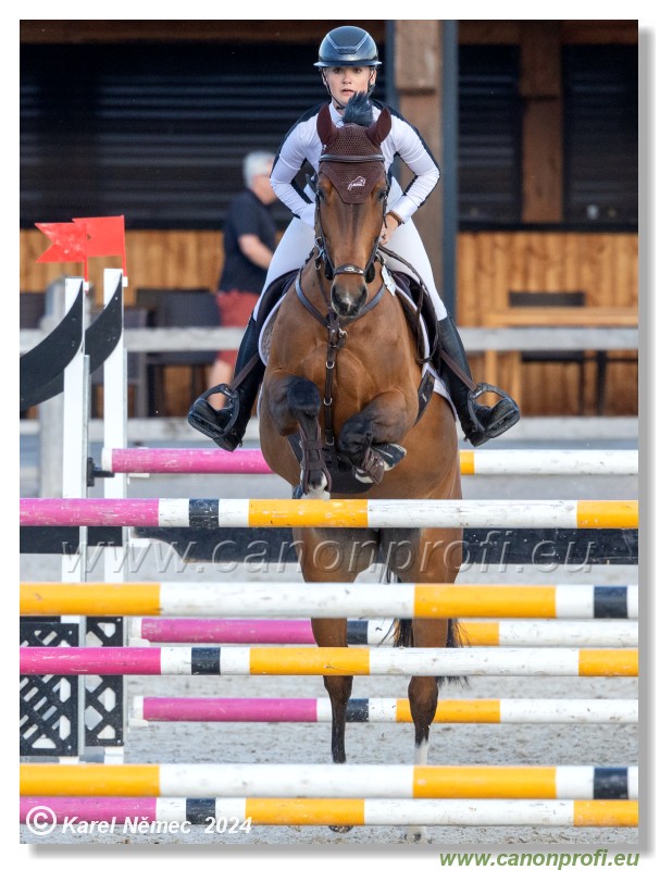 Competition S - 130 cm