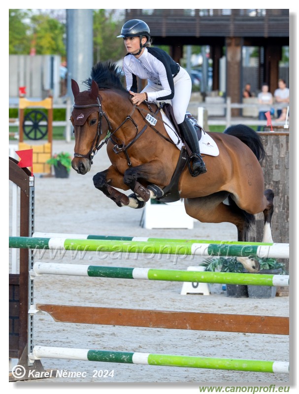 Competition S - 130 cm