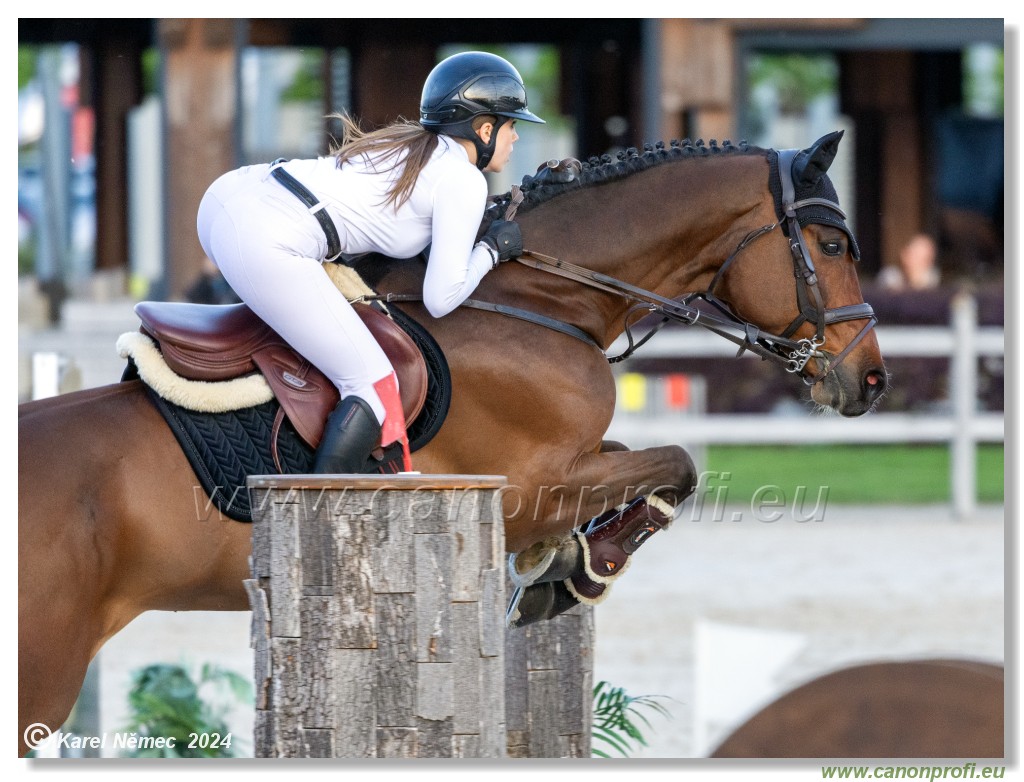 Competition S - 130 cm