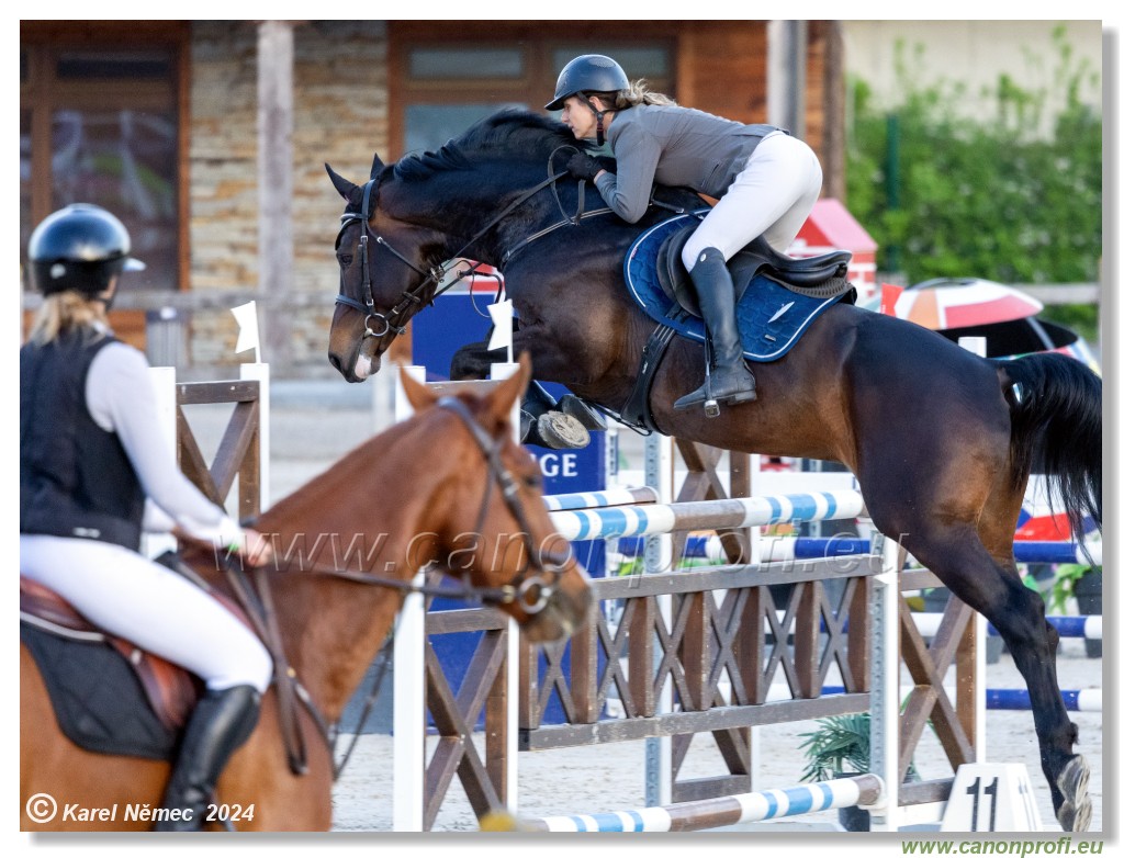 Competition S - 130 cm