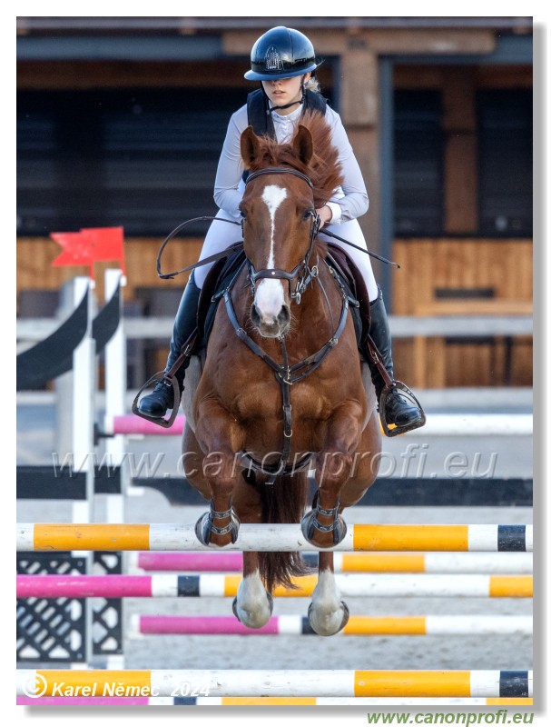 Competition S - 130 cm