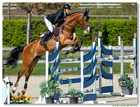 Grand Prix Equistyle - 145 cm