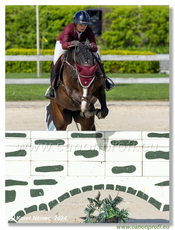 Grand Prix Equistyle - 145 cm