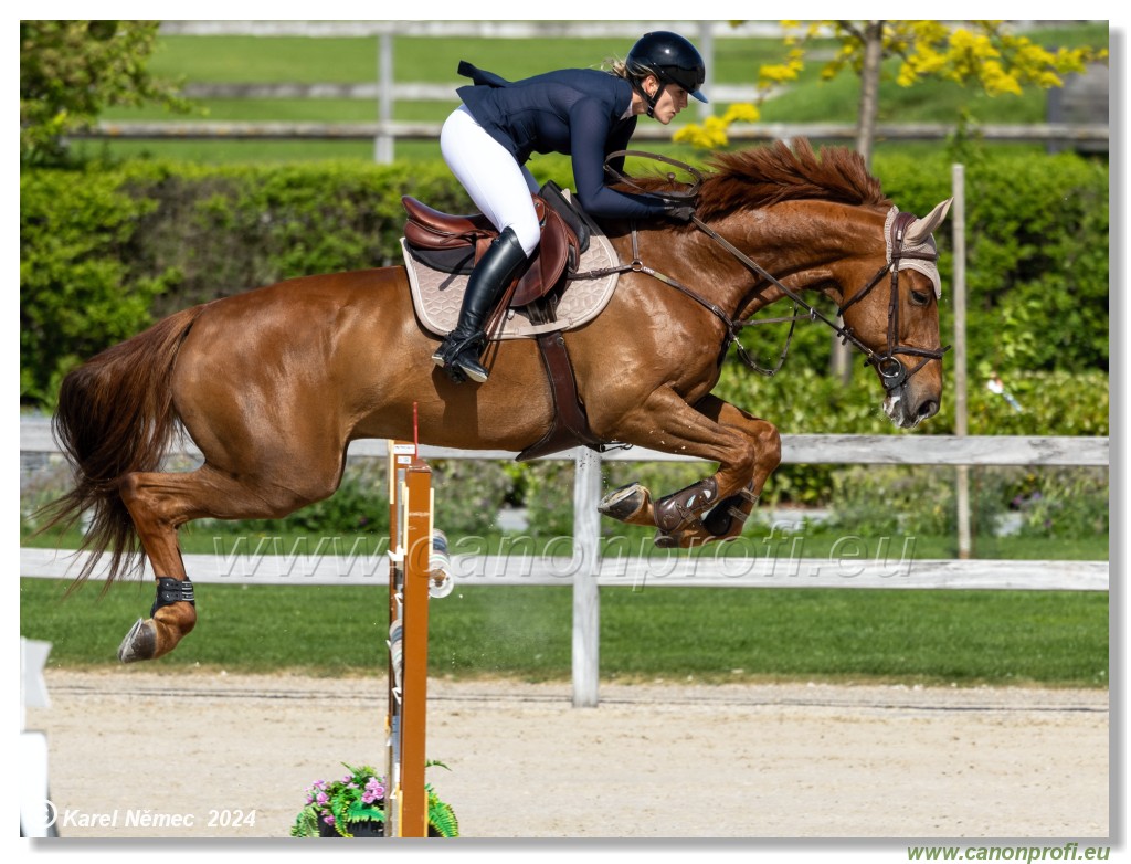 Grand Prix Equistyle - 145 cm