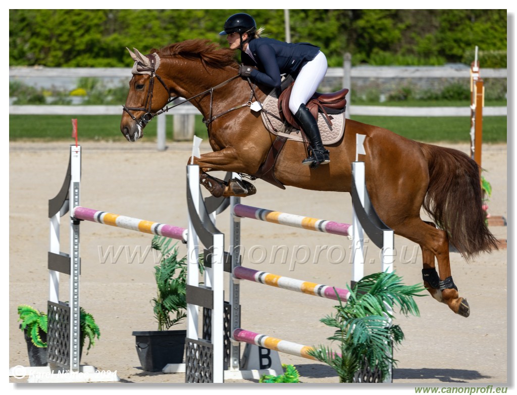 Grand Prix Equistyle - 145 cm