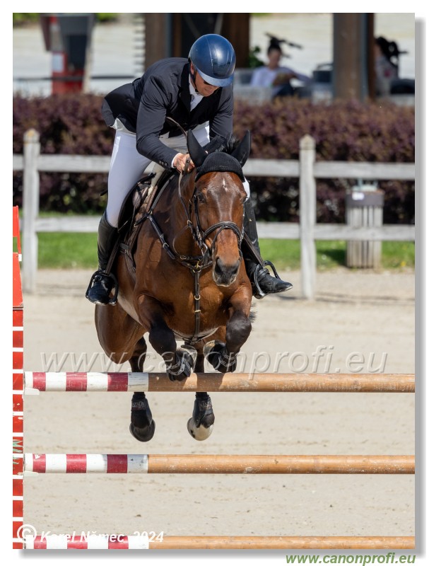 Grand Prix Equistyle - 145 cm