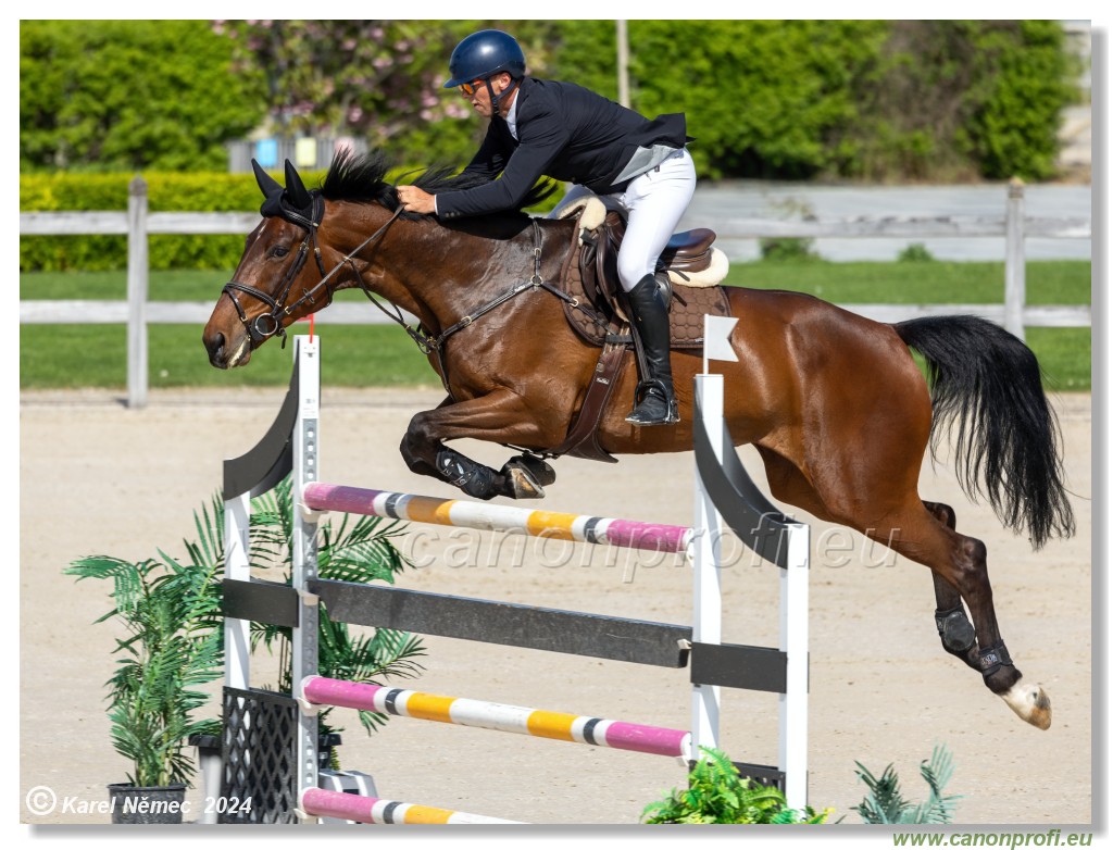 Grand Prix Equistyle - 145 cm