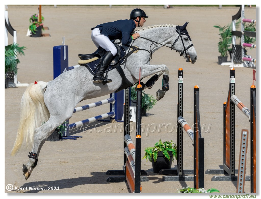 Grand Prix Equistyle - 145 cm