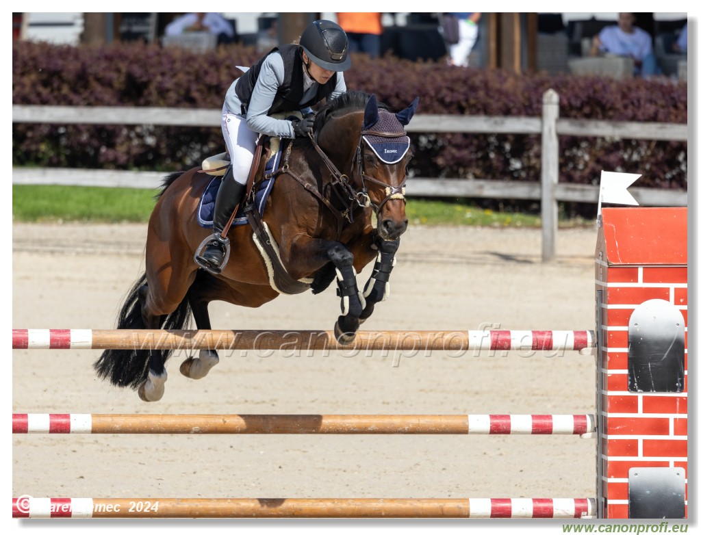 Grand Prix Equistyle - 145 cm