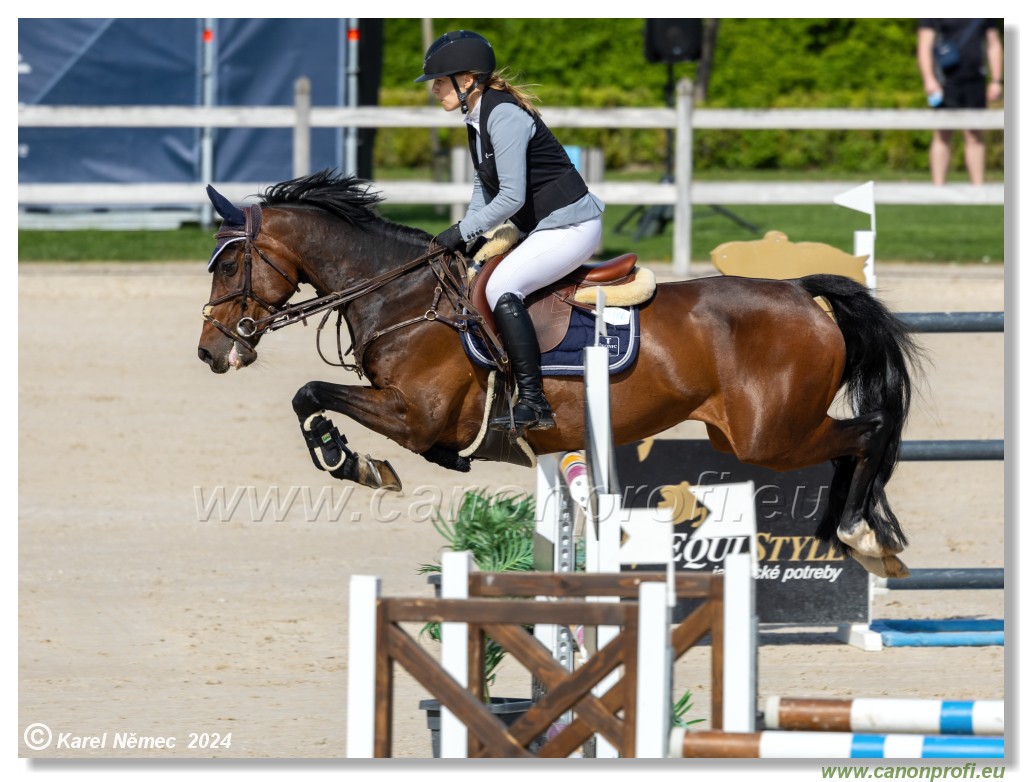 Grand Prix Equistyle - 145 cm