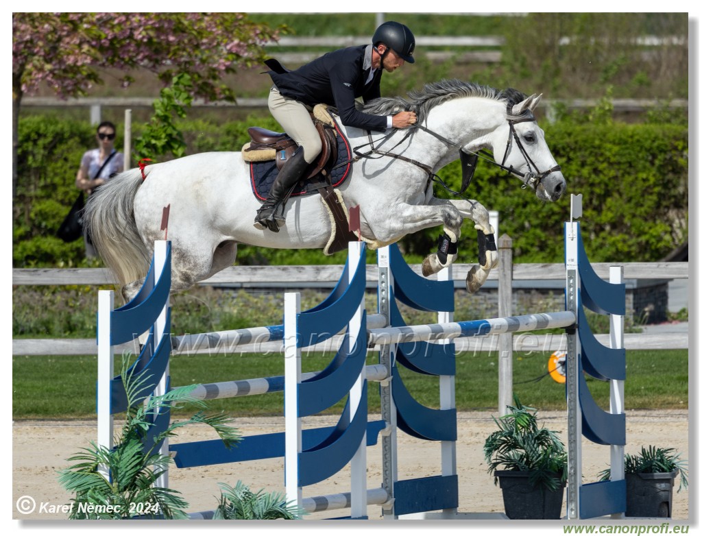 Grand Prix Equistyle - 145 cm