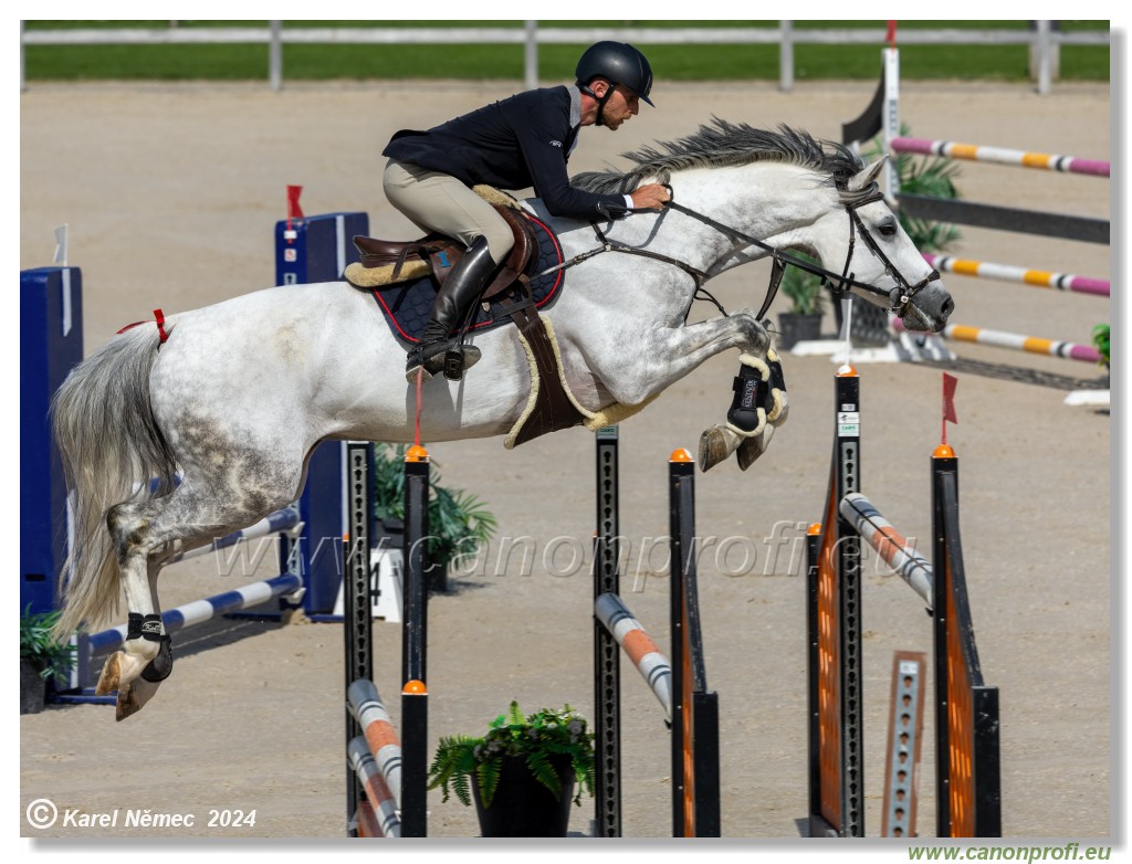 Grand Prix Equistyle - 145 cm