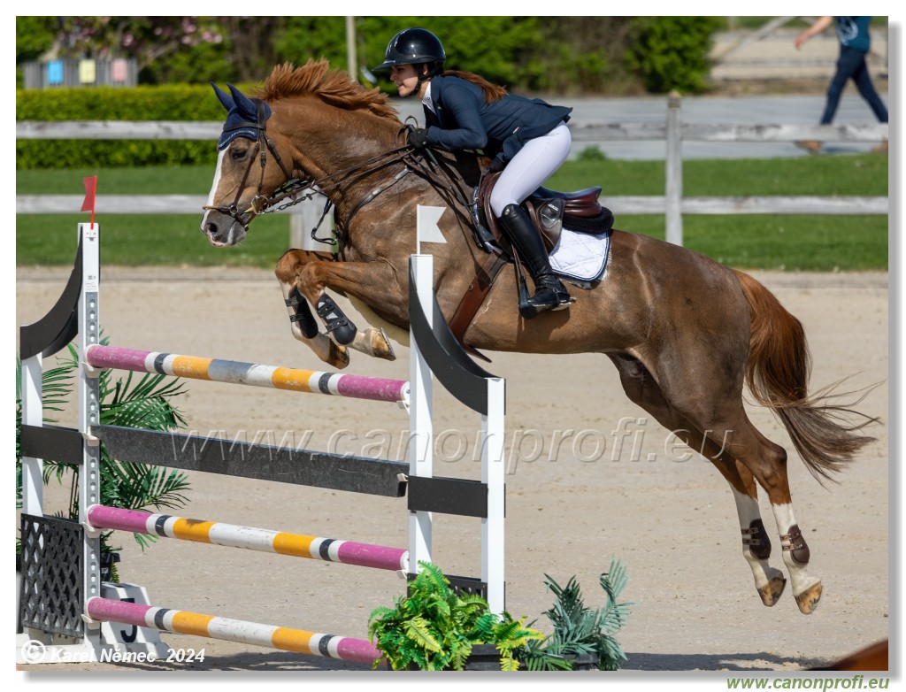 Grand Prix Equistyle - 145 cm