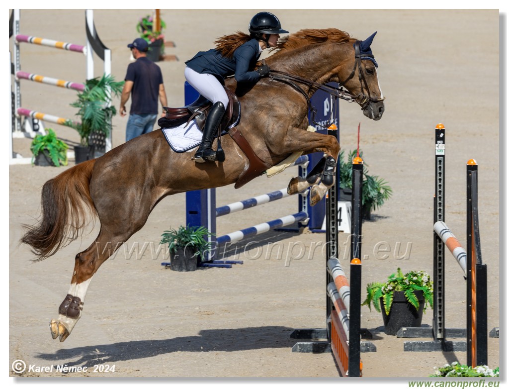 Grand Prix Equistyle - 145 cm
