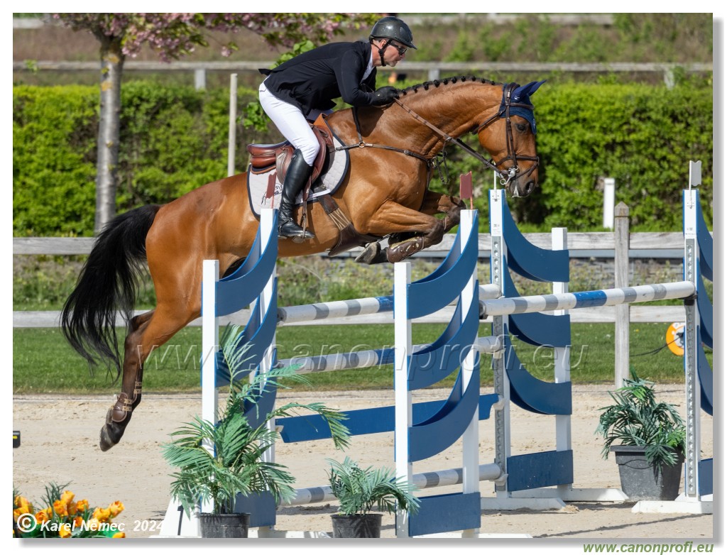 Grand Prix Equistyle - 145 cm