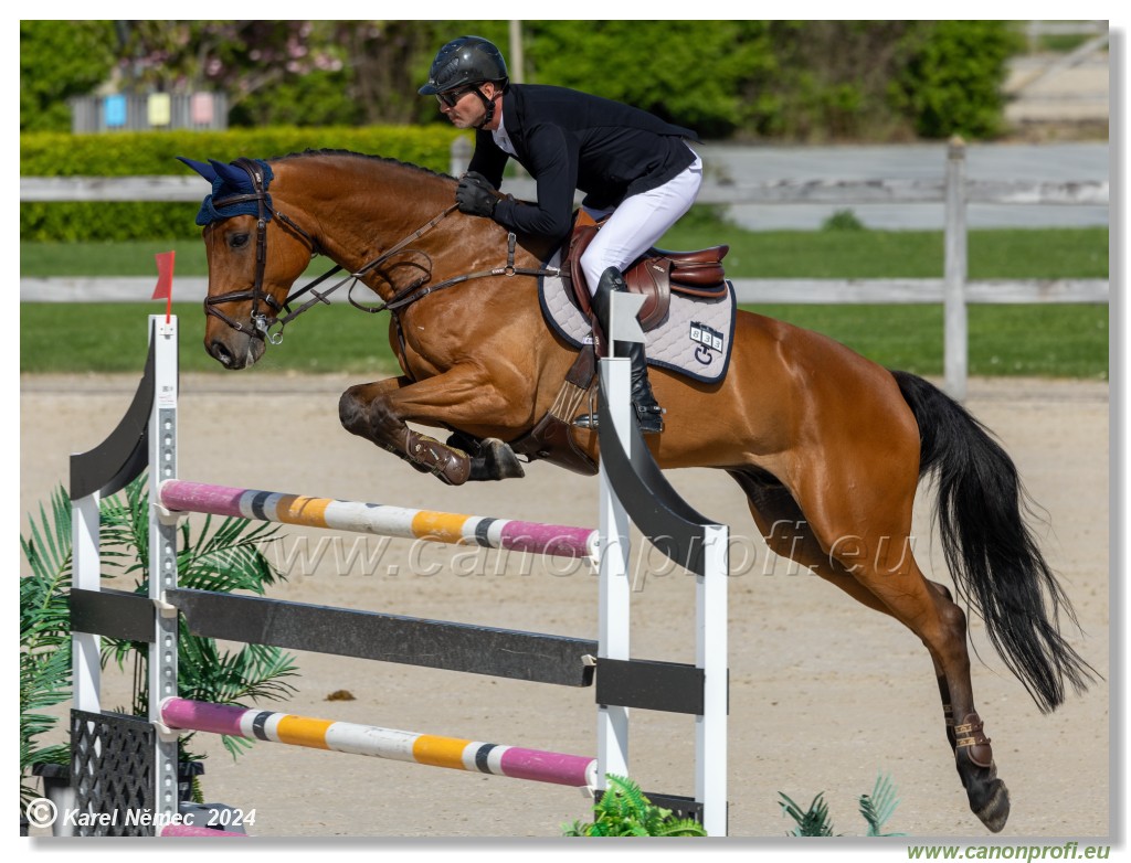 Grand Prix Equistyle - 145 cm