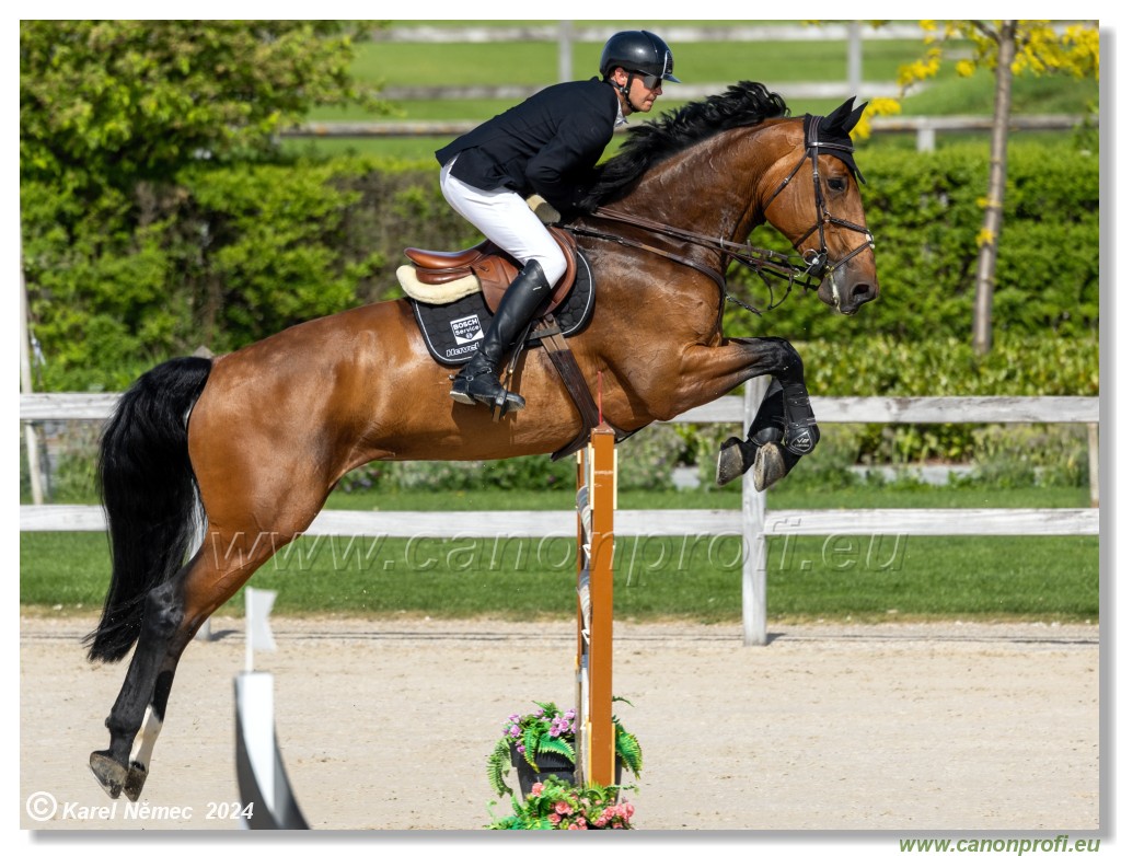 Grand Prix Equistyle - 145 cm